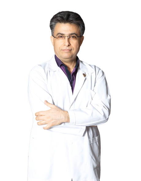 Dr. Amir Houssein PayamiFard